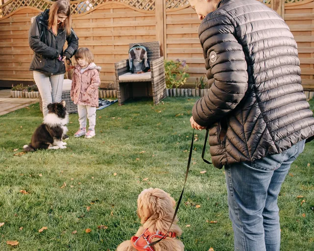 A family in an Edinburgh garden working with two young dogs on a soft autumn afternoon