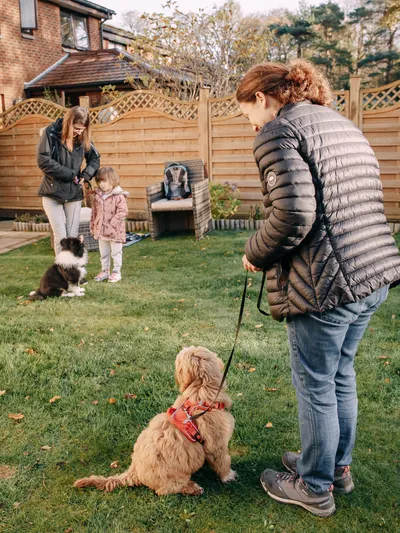 Happy puppies during a socialisation class in Edinburgh