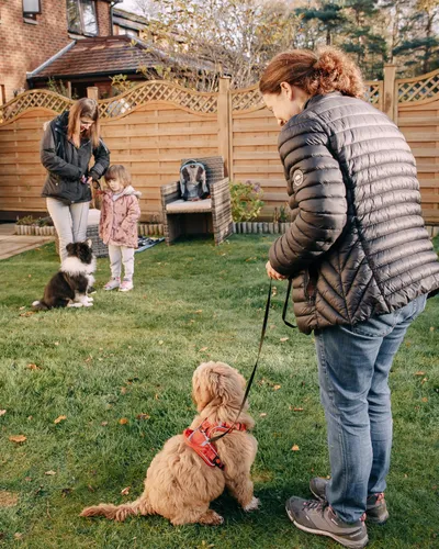 Luna during a training session in the garden