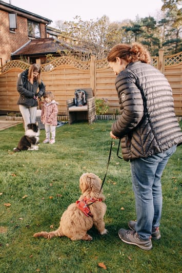 Happy puppies during a socialisation class in Edinburgh