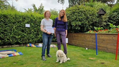 A new puppy owner learning handling techniques during a consultation